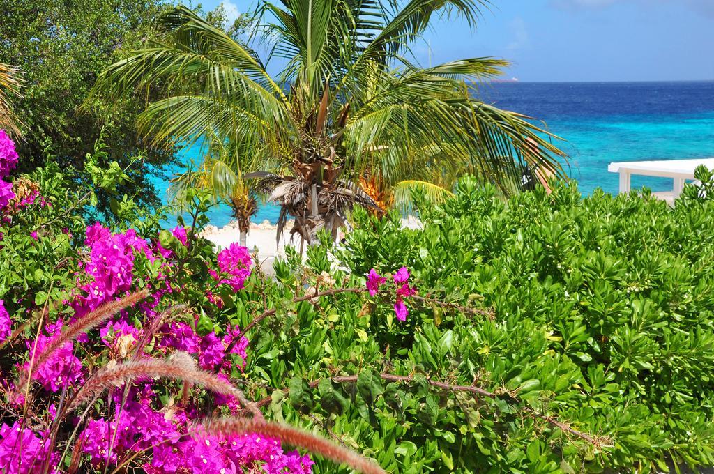 Hilltop Sea View , Boca Gentil Willemstad Kültér fotó